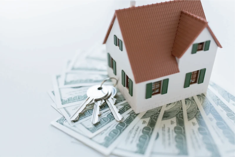House with money